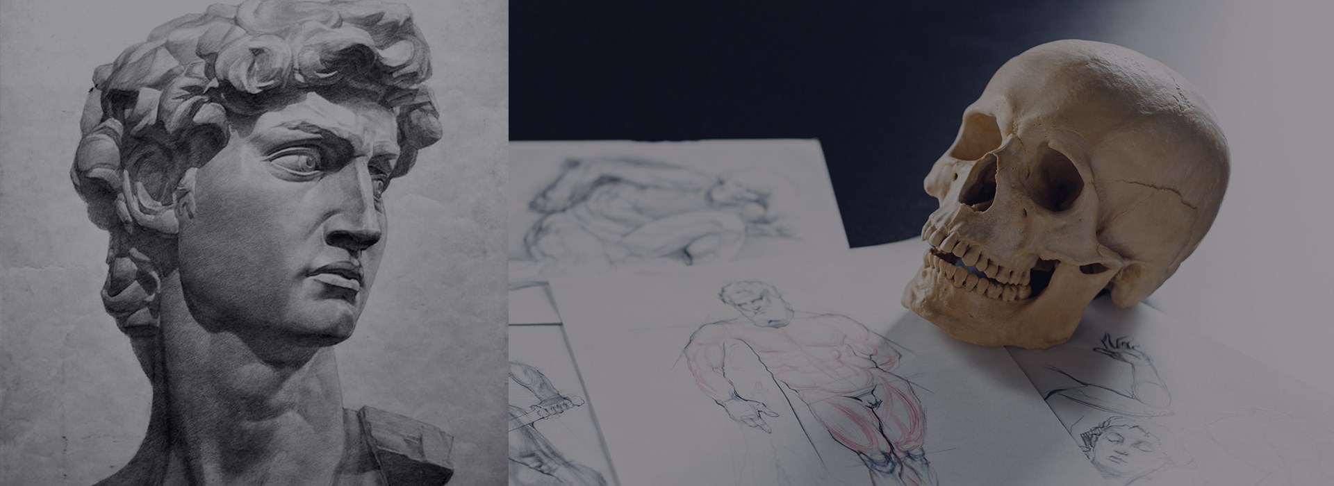 Анатомия для художника: портрет и голова
